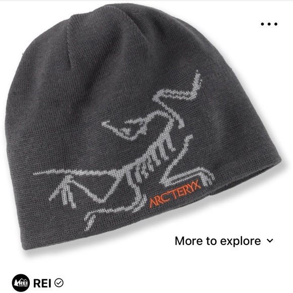 Arc'teryx Other - Bird Head Toque